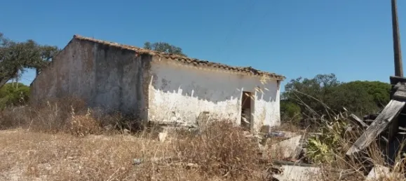 25 chambres Hôtel à Almancil, Portugal No. 145358 25