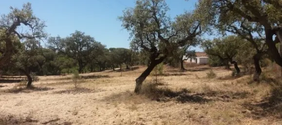 25 chambres Hôtel à Almancil, Portugal No. 145358 24