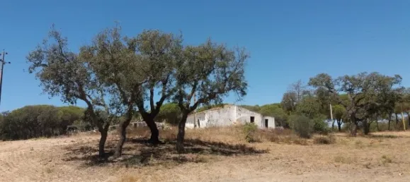 25 chambres Hôtel à Almancil, Portugal No. 145358 22