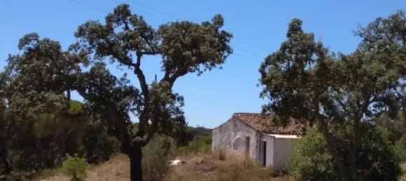 25 chambres Hôtel à Almancil, Portugal No. 145358 11