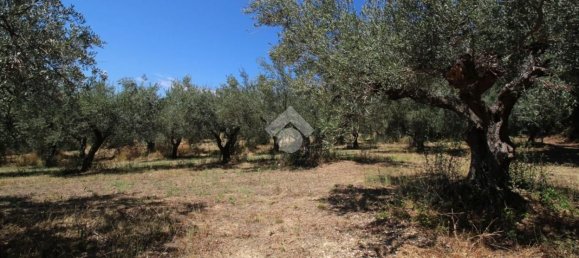 Земельный участок 1900м² в Монтесильвано, Италия № 288587 5