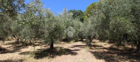 Земельный участок 1900м² в Монтесильвано, Италия № 288587 9