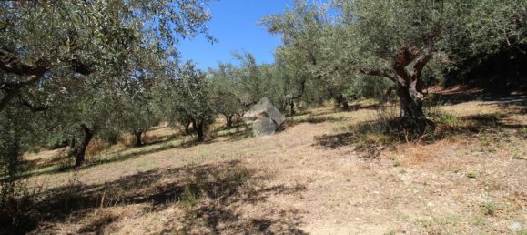 Земельный участок 1900м² в Монтесильвано, Италия № 288587 2