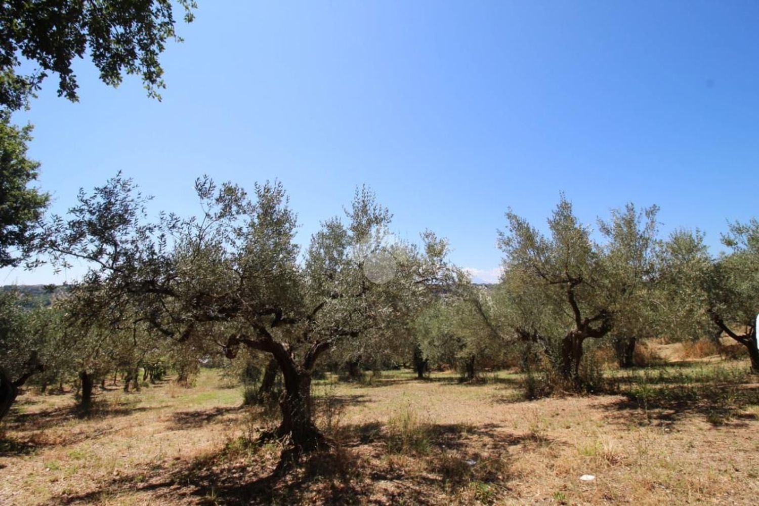 Земельный участок 1900м² в Монтесильвано, Италия № 288587