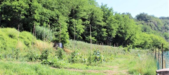 1000m² Building in Calcinaia, Italy No. 119319 19