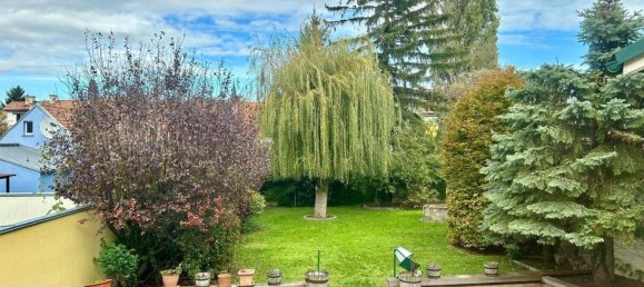 5 rooms House in Traiskirchen, Austria No. 201363 12