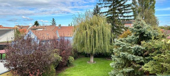 5 rooms House in Traiskirchen, Austria No. 201363 18