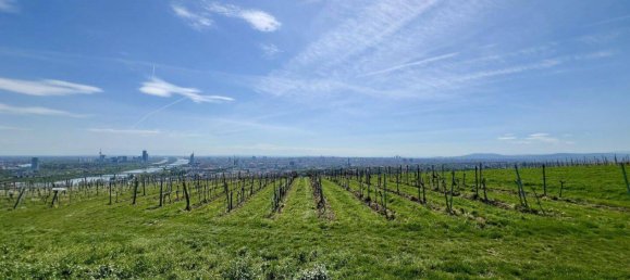 4غرفة شقة في Dobling, Austria رقم 198614 16