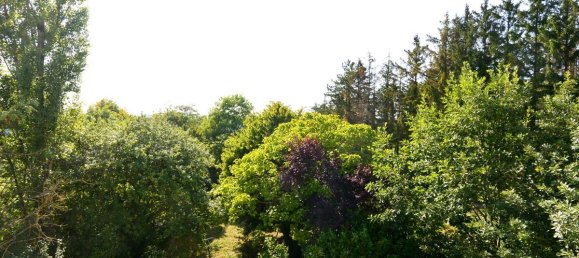 5 Schlafzimmer Stadthaus in Saarbrücken, Germany, Nr. 272878 15