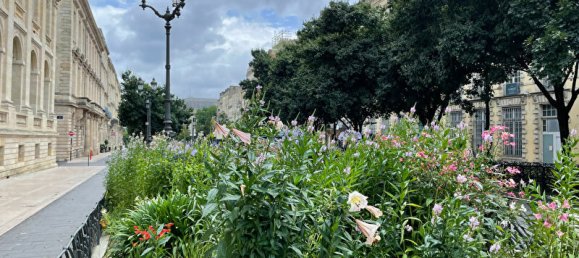 2 bedrooms Apartment in Bordeaux, France No. 306776 5