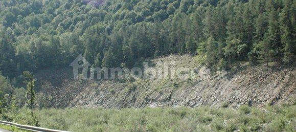 Земельный участок 101336м² в Варцо, Италия № 312932 4