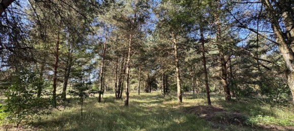 2 غرف نوم منزل في Luchow-Dannenberg, Germany رقم 253515 24