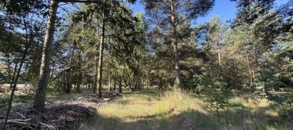 2 غرف نوم منزل في Luchow-Dannenberg, Germany رقم 253515 23