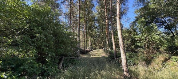 2 غرف نوم منزل في Luchow-Dannenberg, Germany رقم 253515 22