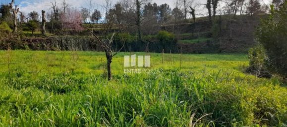 2583m² Land in Amarante, Portugal No. 61814 3