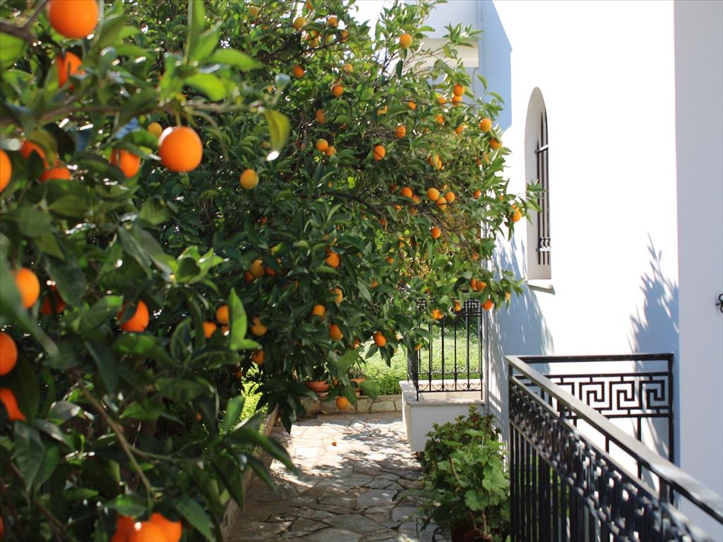 4 bedrooms Commercial property in Loutraki, Greece No. 6963