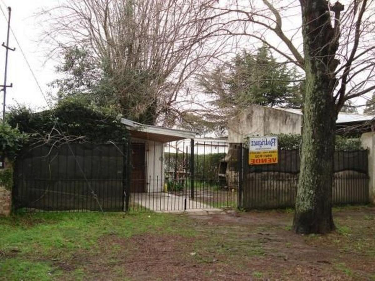 Grundstück in Chascomus, Argentina 200m², Nr. 48322