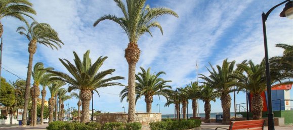 Moradia em banda T2 em San Pedro del Pinatar, Spain N.º 155184 41