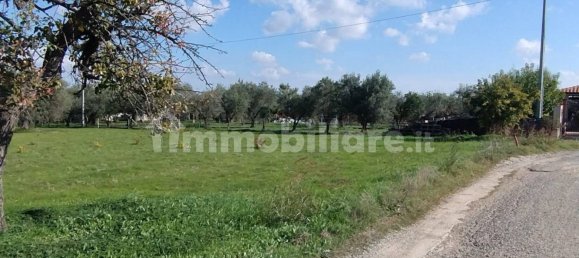 Terrain à Pisticci, Italy 9000m² No. 343588 6