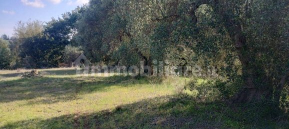 Terrain à Pisticci, Italy 9000m² No. 343588 5