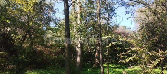 Terrain à Pisticci, Italy 9000m² No. 343588 2