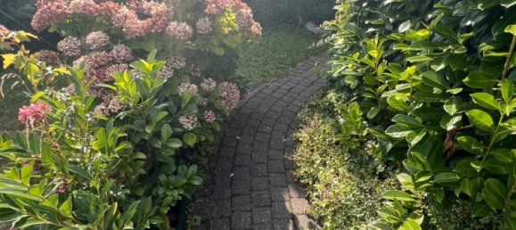 Adosado de 5 habitaciónes en Rhein-Sieg, Germany No. 334980 3