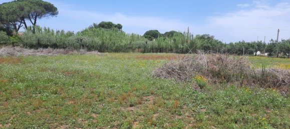 3880m² Land in Vittoria, Italy No. 252230 3