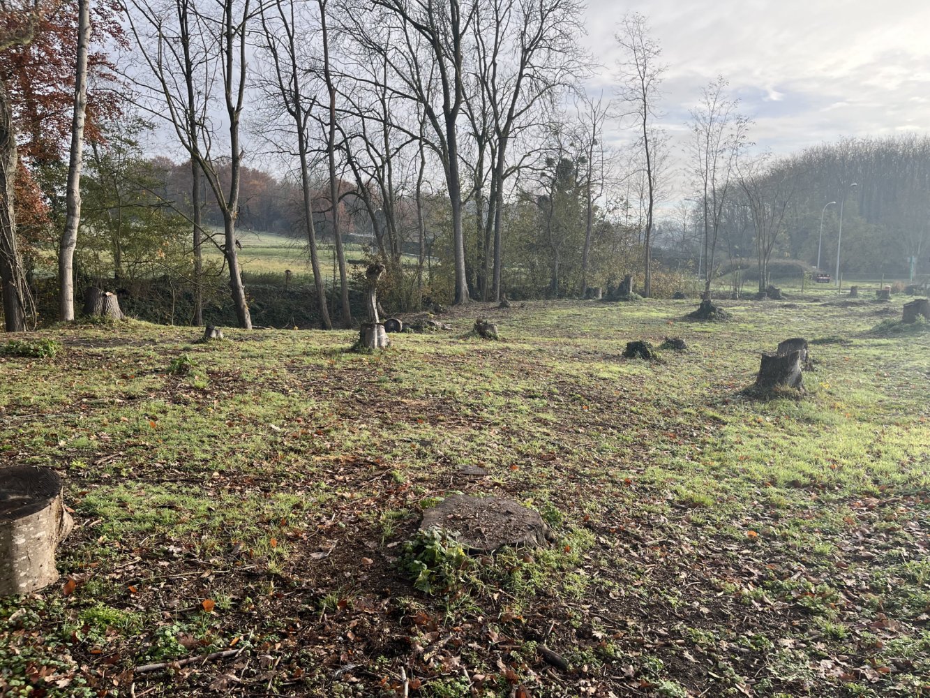  Land in Neuilly-Saint-Front, France No. 47131