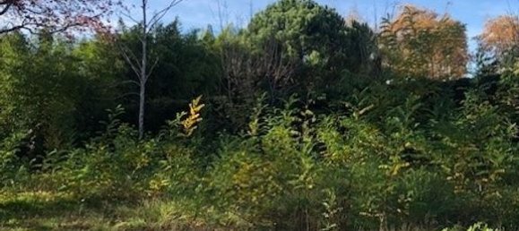 570m² Land in Bordeaux, France No. 219071 2