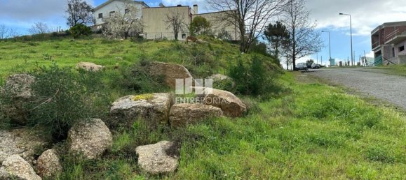 900m² Land in Marco de Canaveses, Portugal No. 57833 20