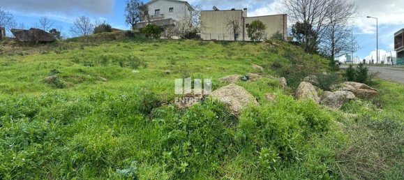900m² Land in Marco de Canaveses, Portugal No. 57833 10