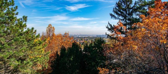 5 rooms Villa in Liesing, Austria No. 247827 14