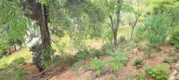 1 room Land in Montesilvano, Italy No. 22244 12