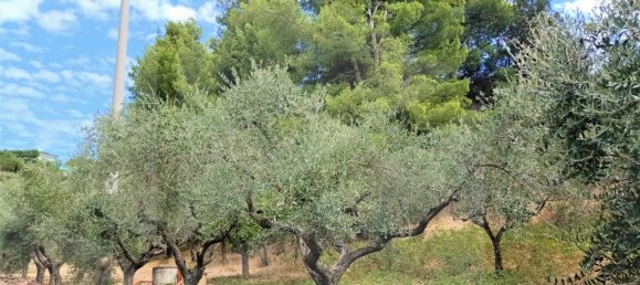 1 room Land in Montesilvano, Italy No. 22244 9