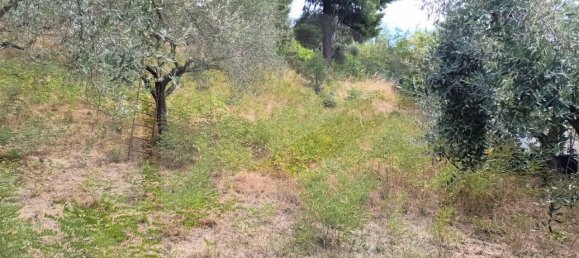 1 room Land in Montesilvano, Italy No. 22244 7