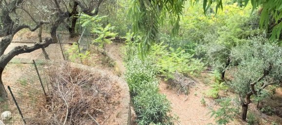 1 room Land in Montesilvano, Italy No. 22244 13