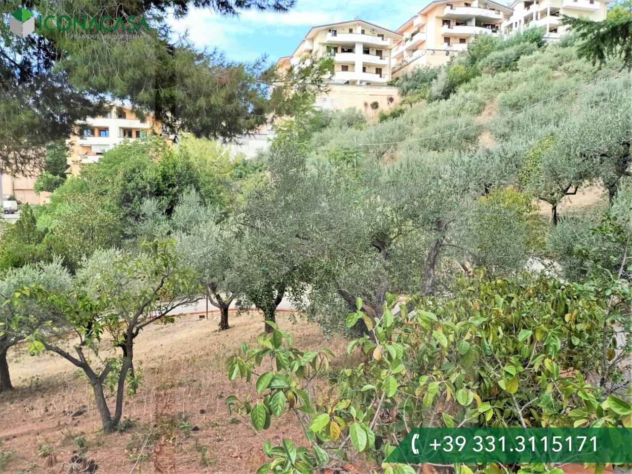 1 room Land in Montesilvano, Italy No. 22244