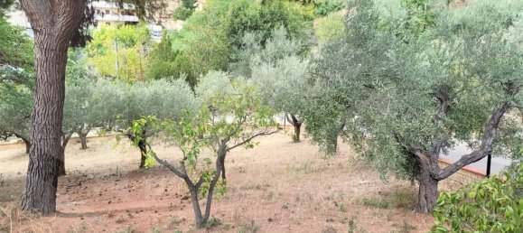 1 room Land in Montesilvano, Italy No. 22244 3