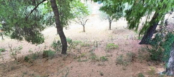 1 room Land in Montesilvano, Italy No. 22244 11