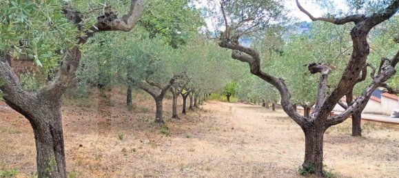 1 room Land in Montesilvano, Italy No. 22244 10