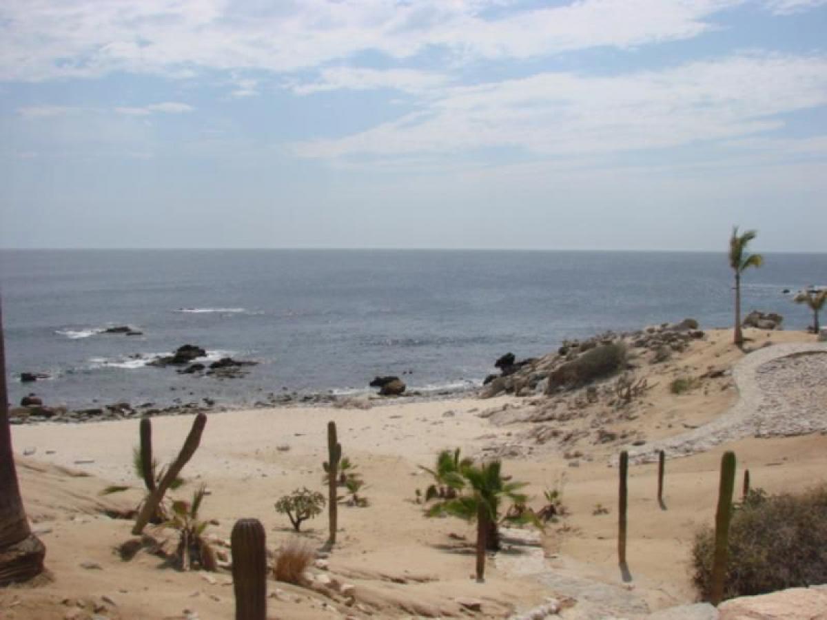  Land in Cabo San Lucas, Mexico No. 115830
