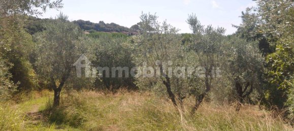 Земельный участок 165м² в Казале Мариттимо, Италия № 281061 3