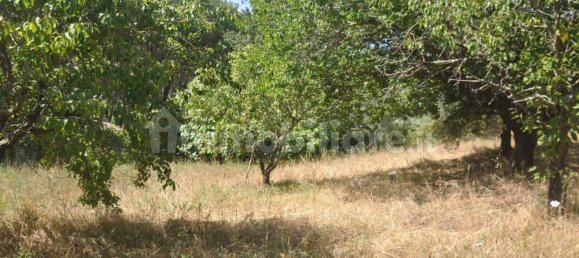 Земельный участок 165м² в Казале Мариттимо, Италия № 281061 2
