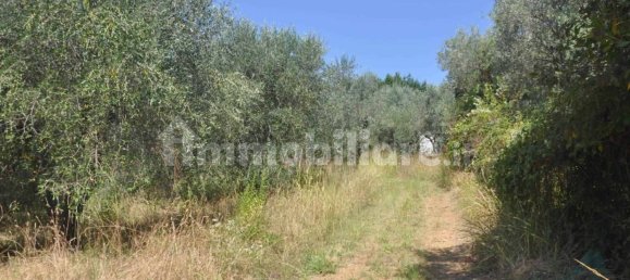 Земельный участок 165м² в Казале Мариттимо, Италия № 281061 5