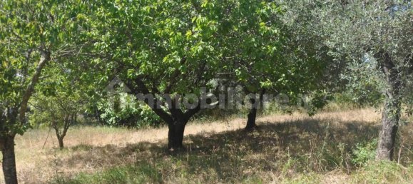 Земельный участок 165м² в Казале Мариттимо, Италия № 281061 4