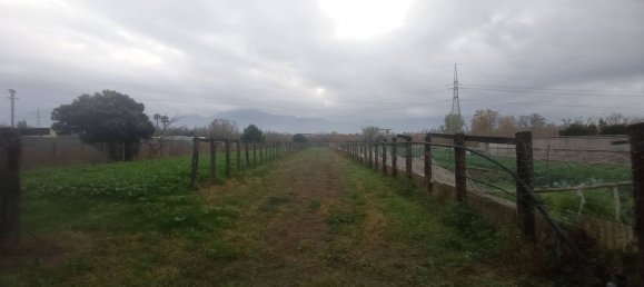 2-Zimmer Haus in Boscoreale, Italy, Nr. 73498 5