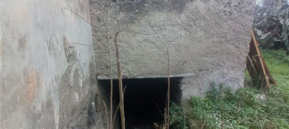 2-Zimmer Haus in Boscoreale, Italy, Nr. 73498 11