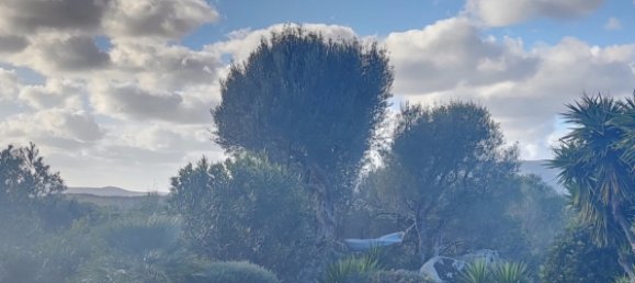 2 bedrooms House in Figari, France No. 43297 8