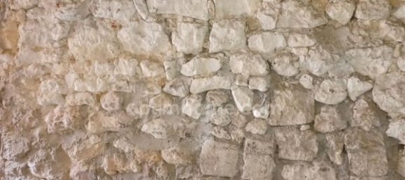 Estúdio em Brandeville, France N.º 236994 7