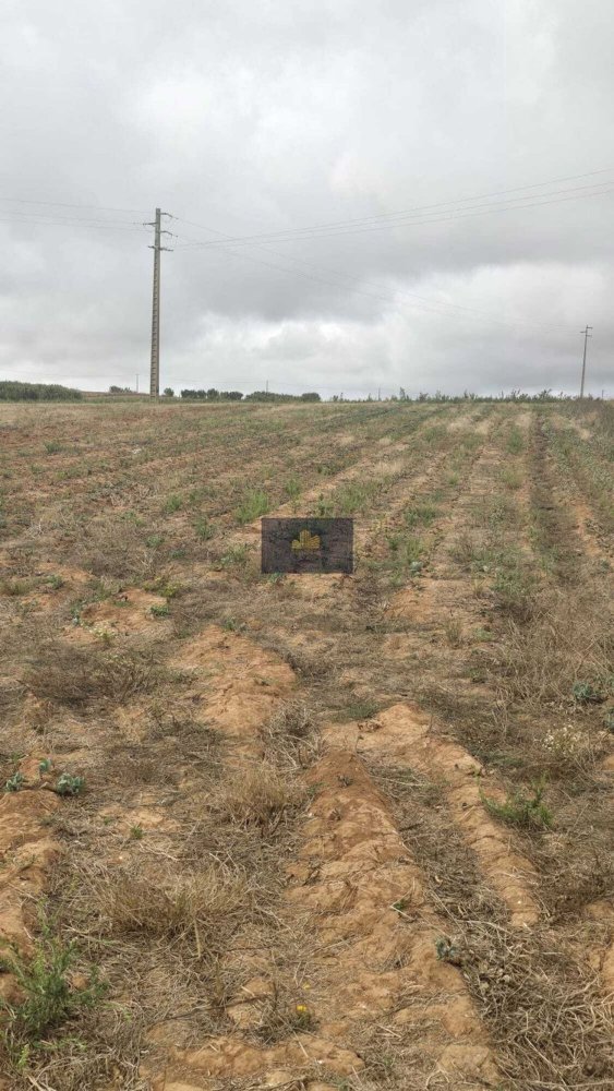 Grundstück in Lourinha, Portugal 5020m², Nr. 333723